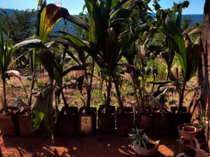 WhatsApp Image 2025-07-10 at 15.20.33